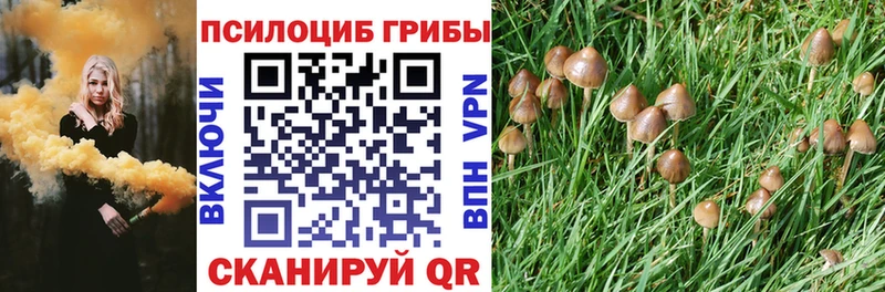 Галлюциногенные грибы Psilocybe  KRAKEN рабочий сайт  Нижний Ломов 